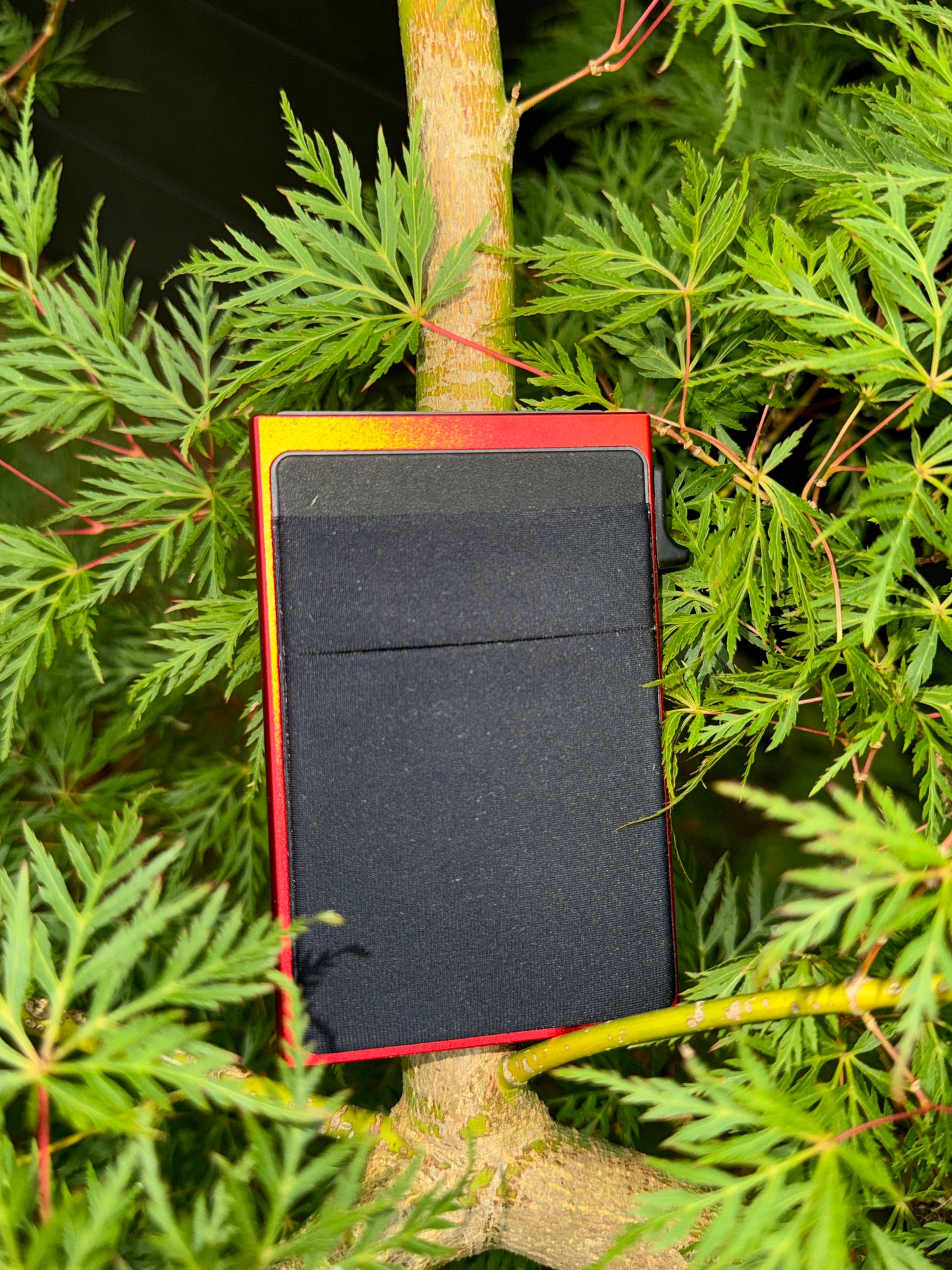 Porte-carte Pop-up RFID