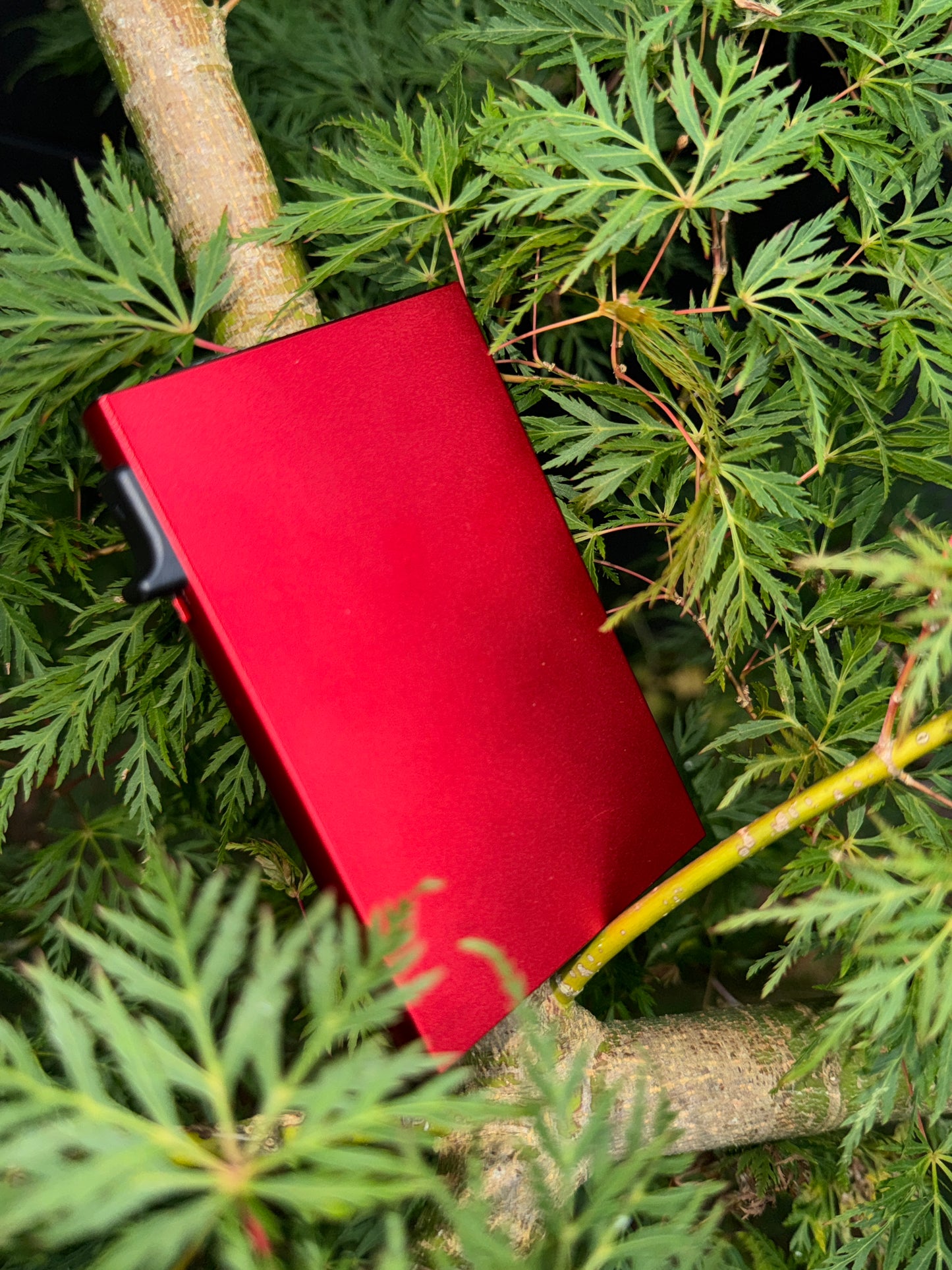 Porte-carte Pop-up RFID
